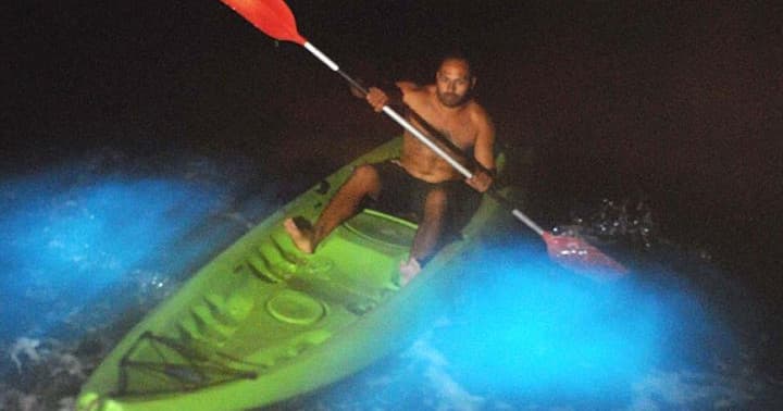 Private Biobay Kayak Tour in Vieques, Puerto Rico