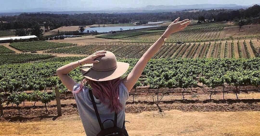 Hunter Valley Wine Tour from Sydney with Dave's Travel Group