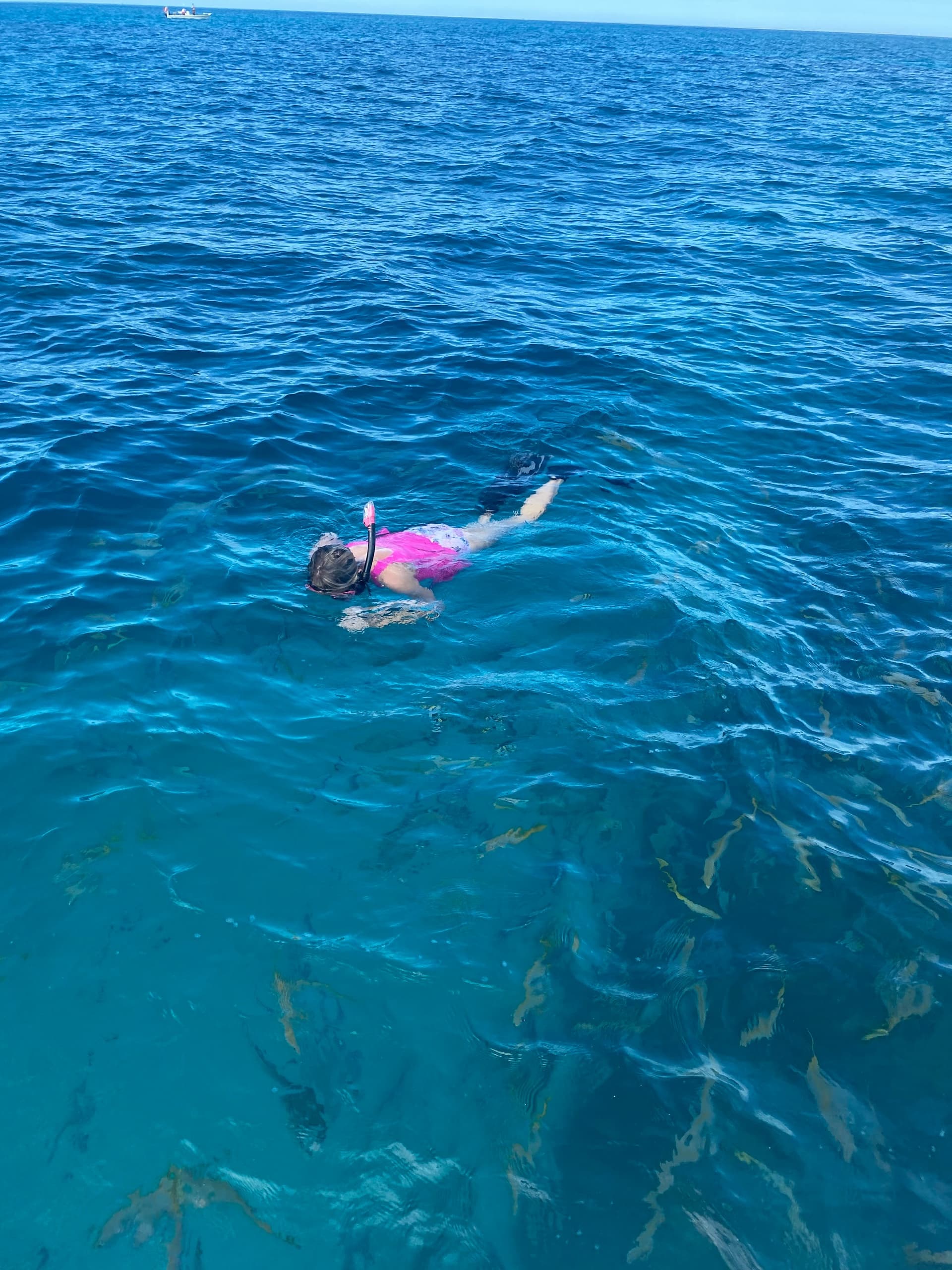 Snorkel & Picnic at Looe Key with TNT Charters