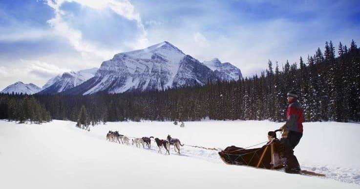 Musher and dog sled team across snowy mountain valley