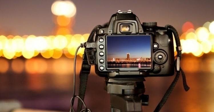 Mastering Digital Photography: A Hands-On Workshop in Naples, Florida