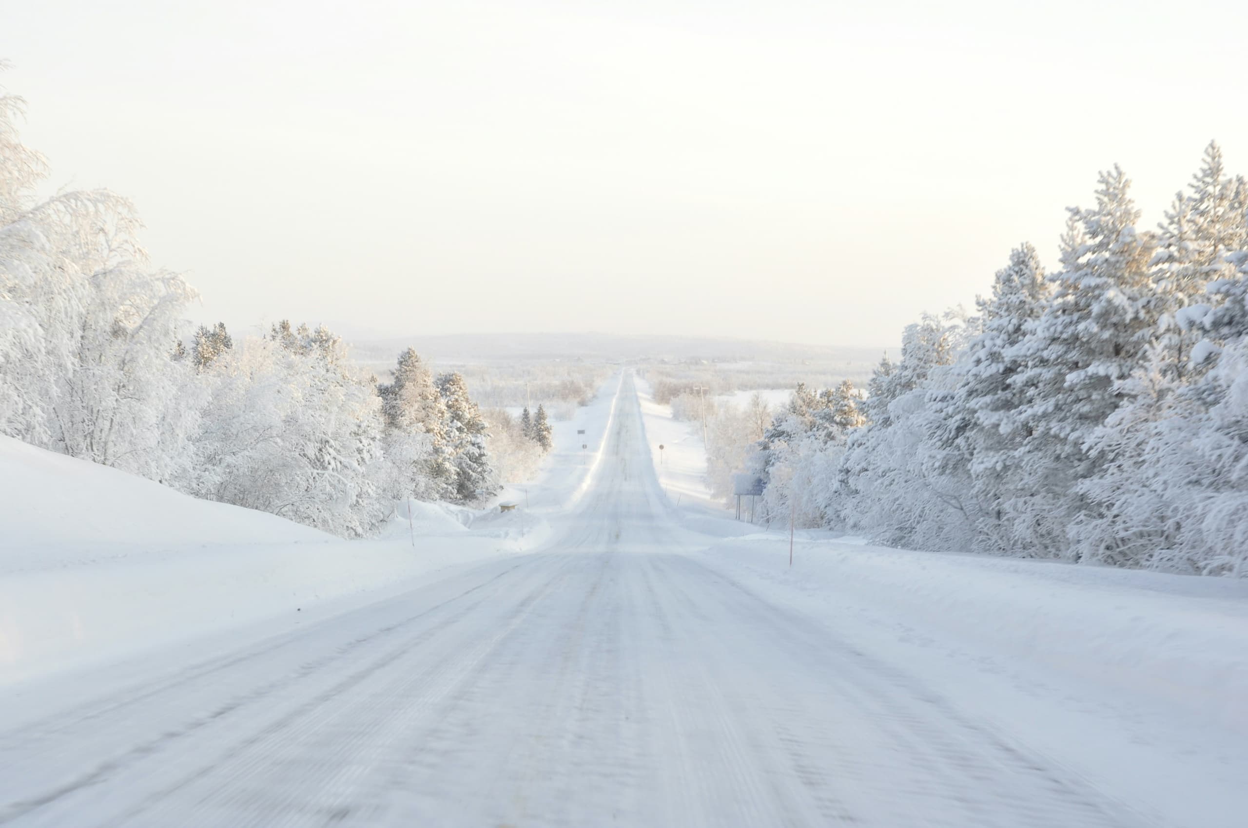 Skip the Drive: Fairbanks to Chena Hot Springs Round-Trip Shuttle