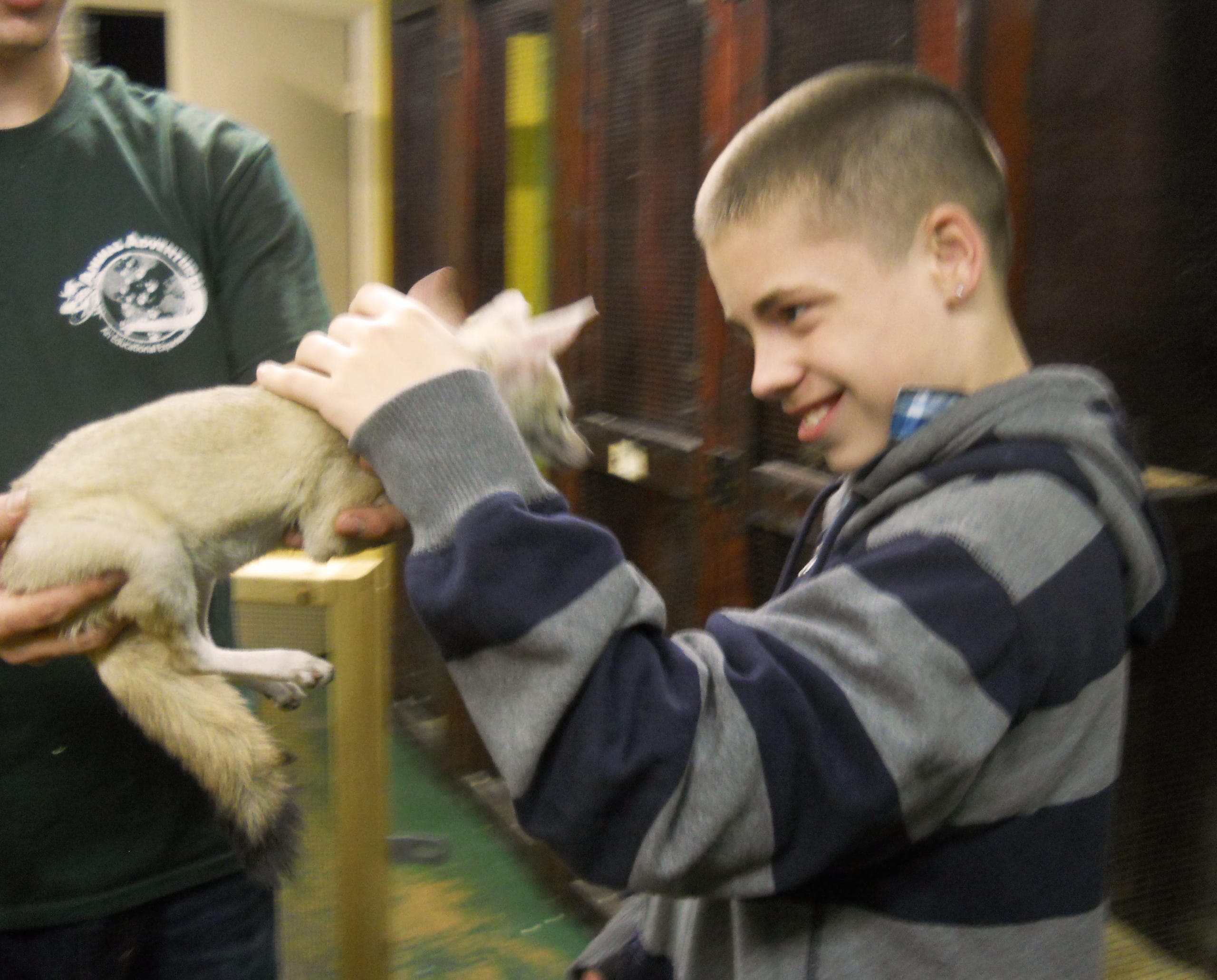 Wildlife & Animal Adventures at Animal Adventures