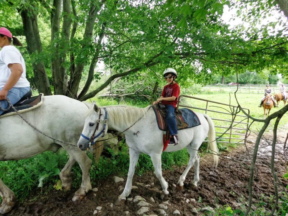 Child riding white pony under shaded trees on farm trail