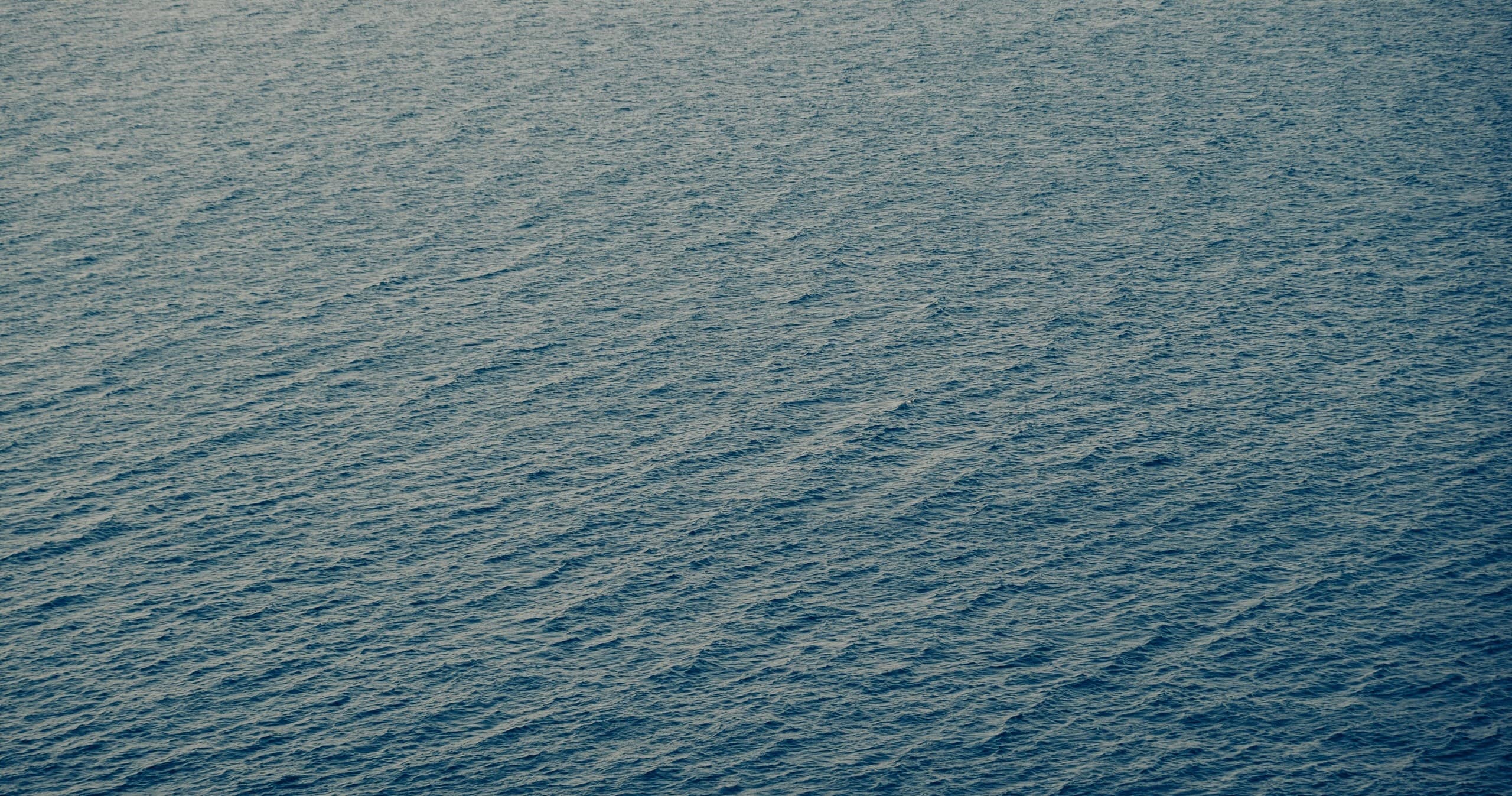 Offshore on the Triton: West Palm Beach Full-Day Big-Game Charter