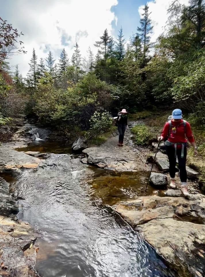 Ridge-Top Backpacking: 2-Night Art Loeb Trail in Pisgah National Forest photo 4