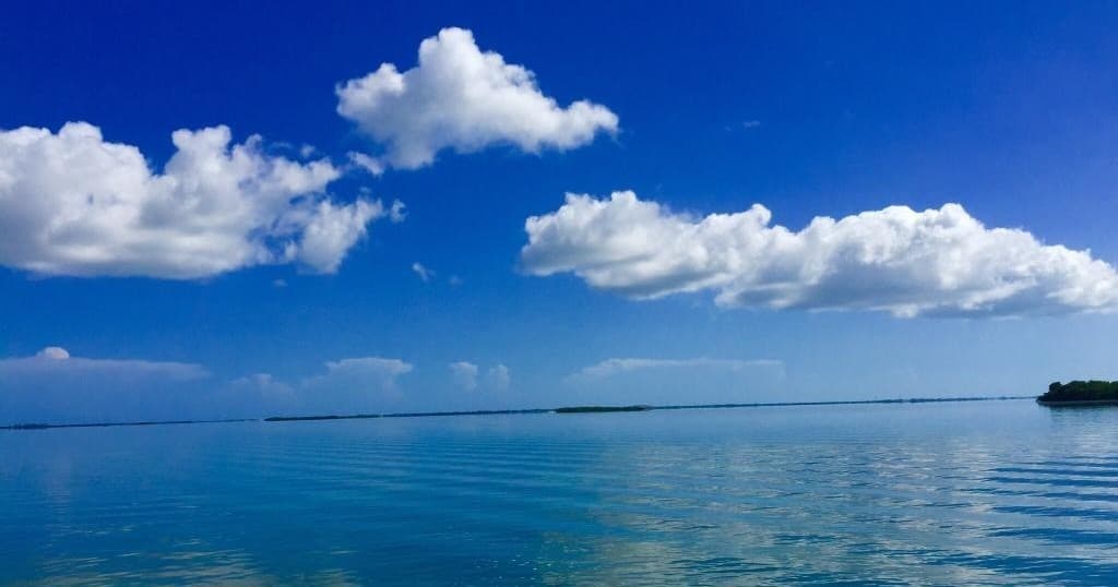 Good Times Key West team