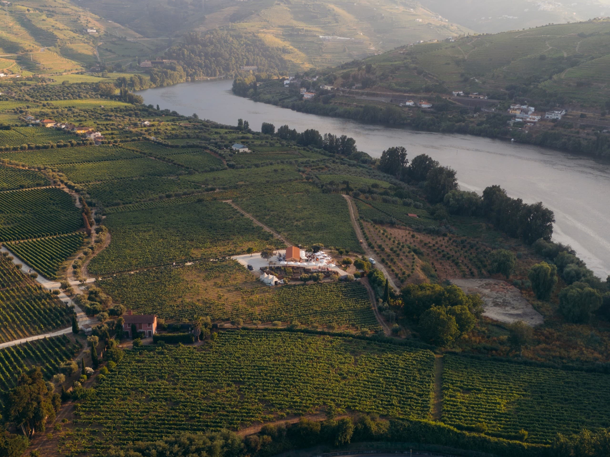 Vine & Flame at Quinta da Pacheca: Wine Tasting and Fire-Cooked Lunch in the Douro photo 1