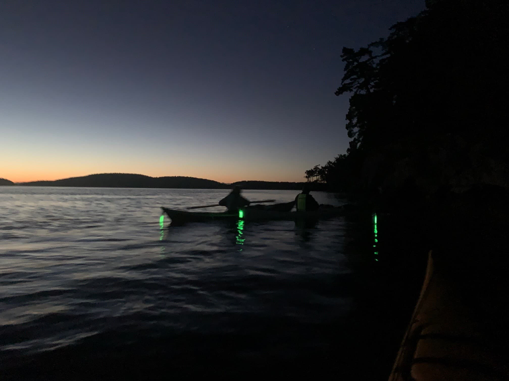 Night Glow Paddle: Bioluminescence Darkness Adventure on Saturna Island photo 3
