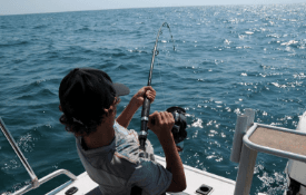 Offshore Halibut and Rockfish: Eight-Hour Shared Charter from Homer, Alaska