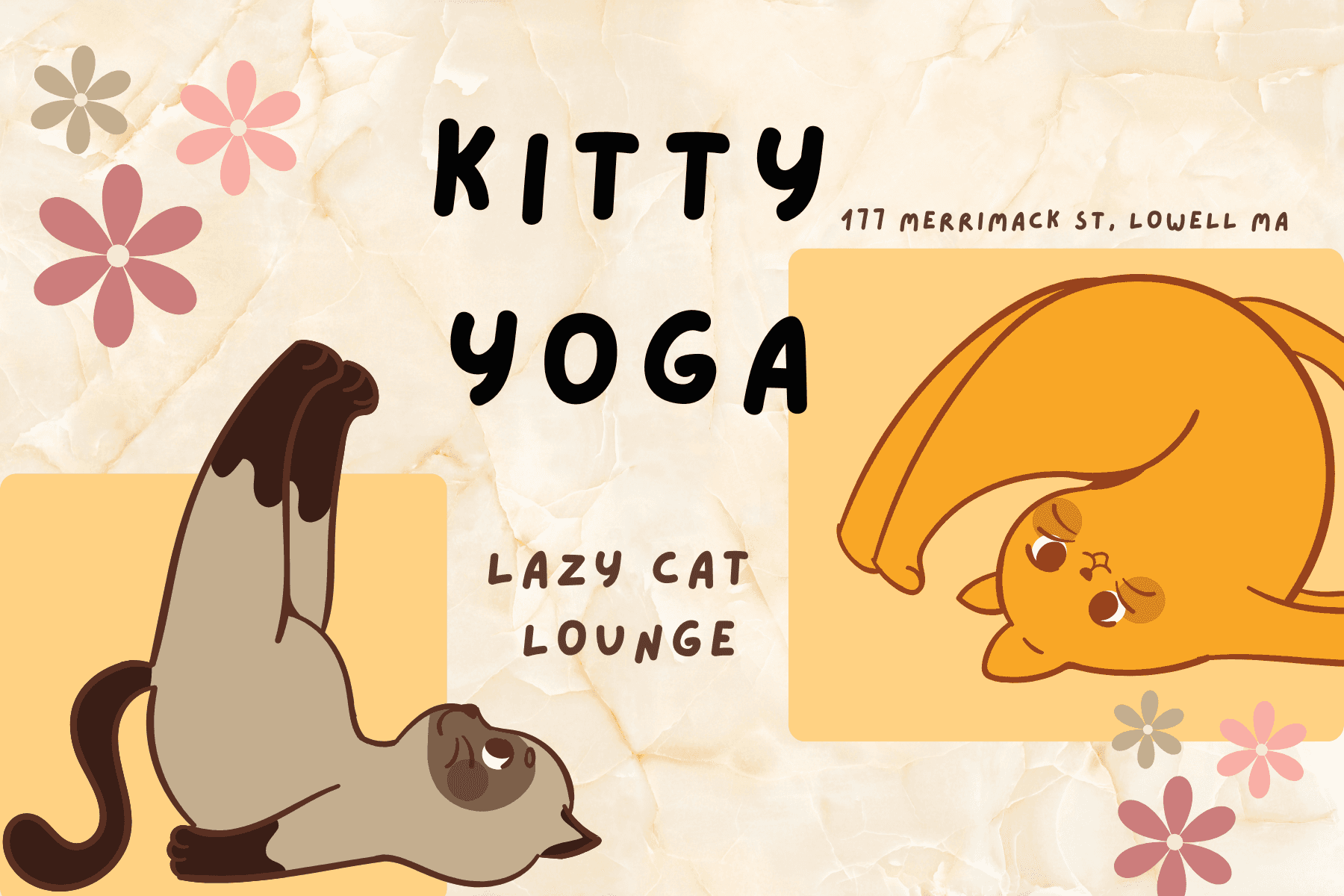 Stretch and Unwind: Experience Unique Yoga Sessions with Playful Cats in Lowell, MA