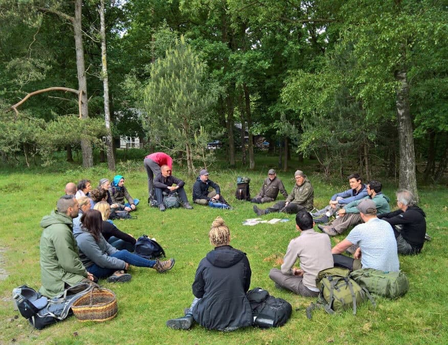 Foraging Leersums Veld: edible and medicinal wild plants workshop near Leersum photo 3