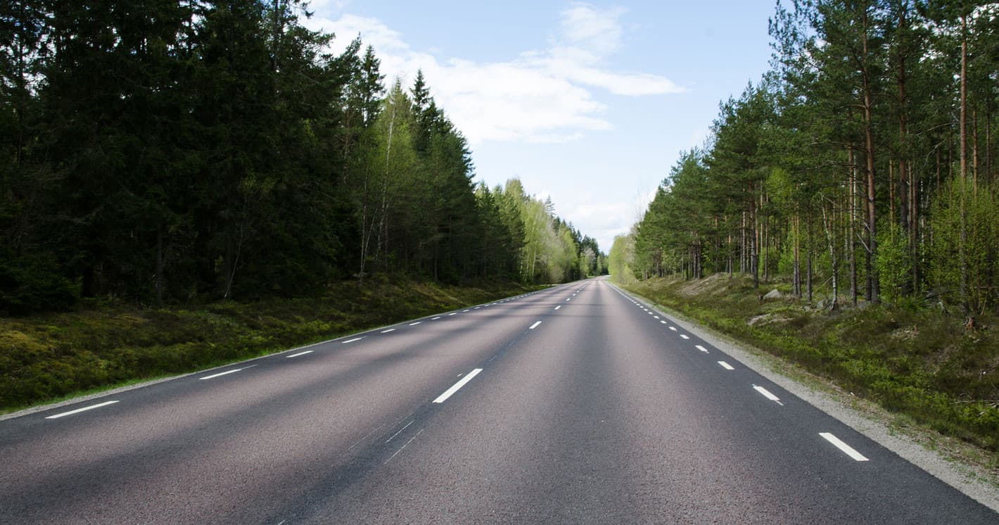 Scenic open highway through Tongass National Forest for road trips