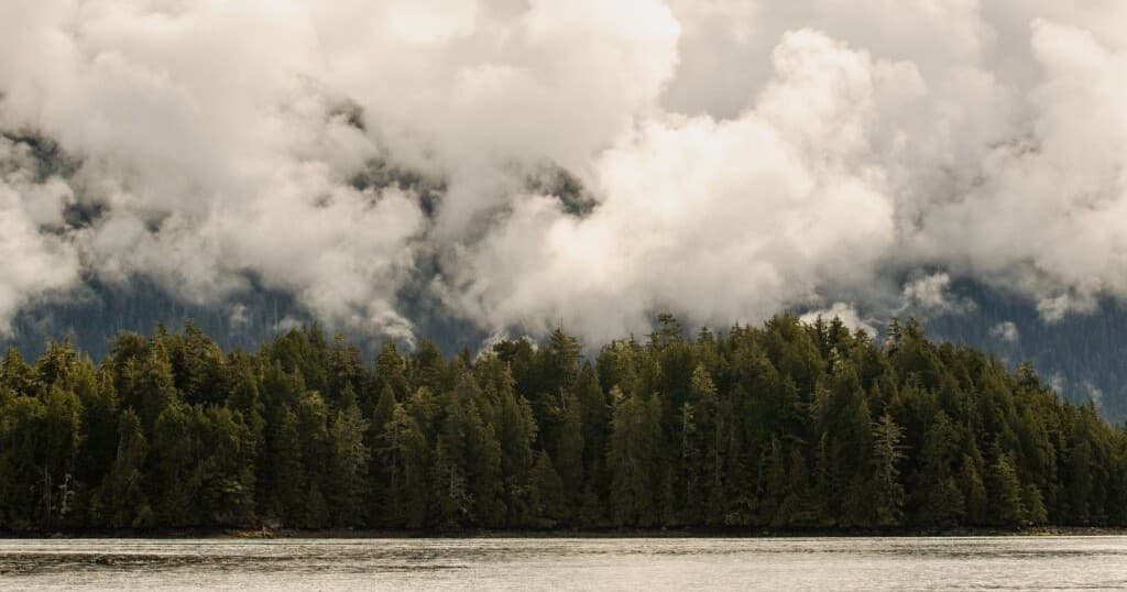Mist-shrouded island forest and mountains viewed from calm water