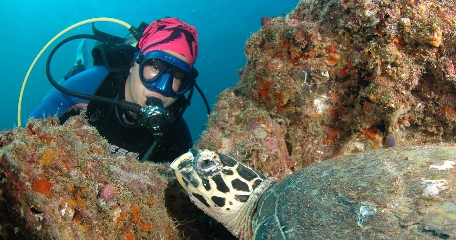 Explore Historic Shipwrecks and Marine Sanctuaries in Acapulco: Certified Diver Tours