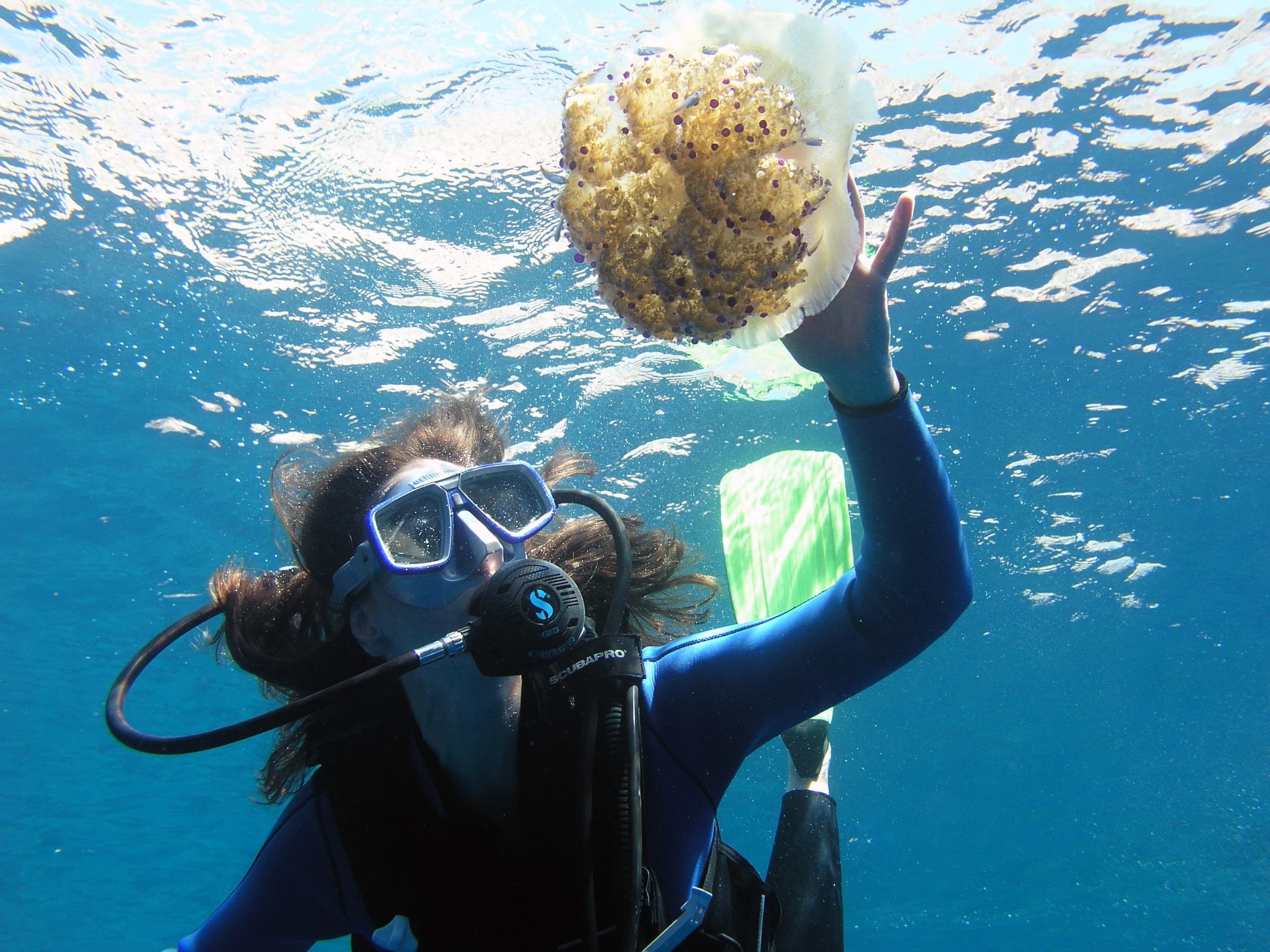 Scuba diver reaching toward jellyfish in clear Aegean Sea