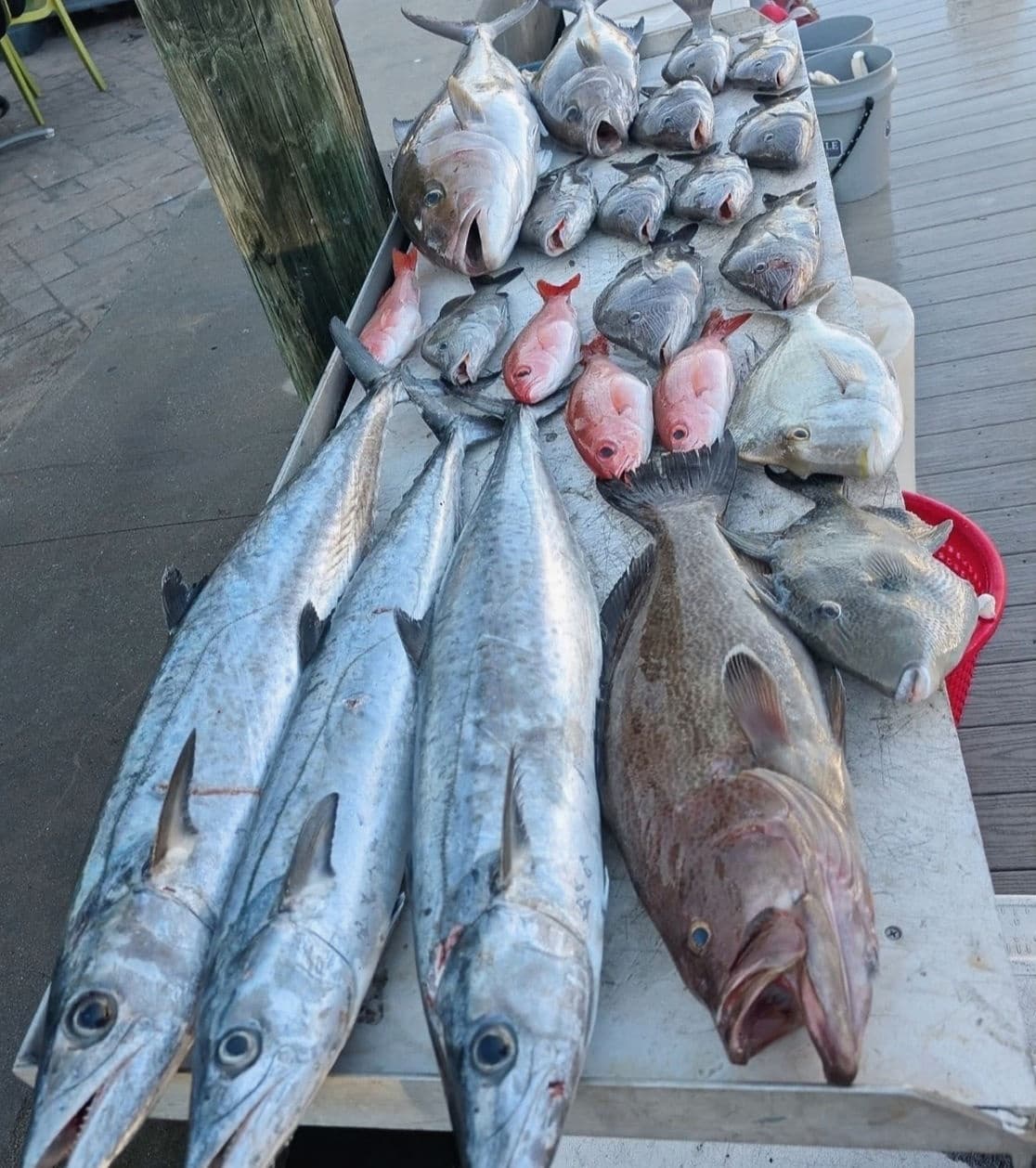 12-Hour Offshore Charter from Murrells Inlet: Big Game Fishing 60+ Miles Offshore