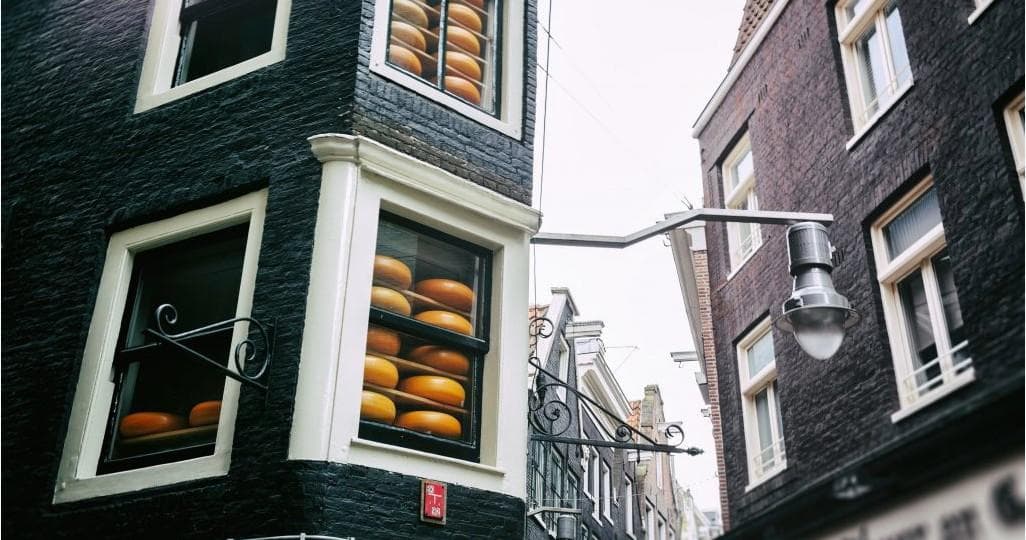 Historical Walking Tour in Amsterdam with Camaleon Tours