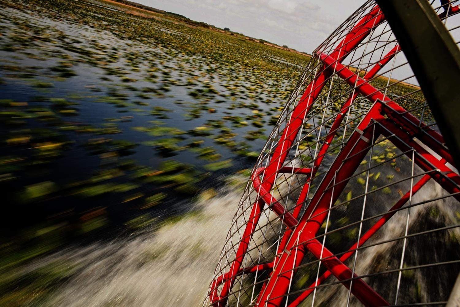 Close-up red airboat fan spinning over lily-covered swamp