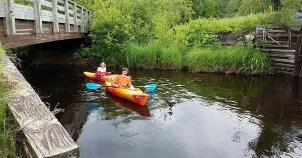 Wildlife Paddle Adventure in Eagle River, Wisconsin