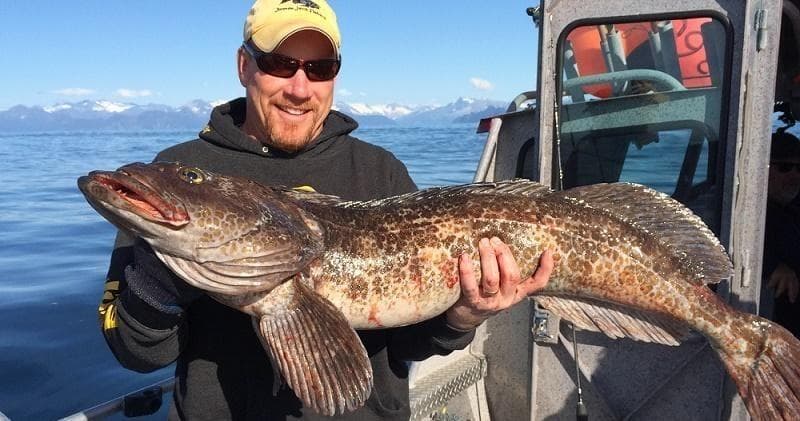 Water Activities: Homer Multi-Species Combo in Alaska