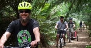 Group of e-bike riders pedaling along shaded fern-lined forest track