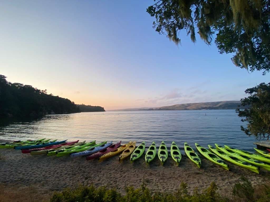Paddle Heart's Desire Beach: Guided Kayak Tours on Tomales Bay photo 4