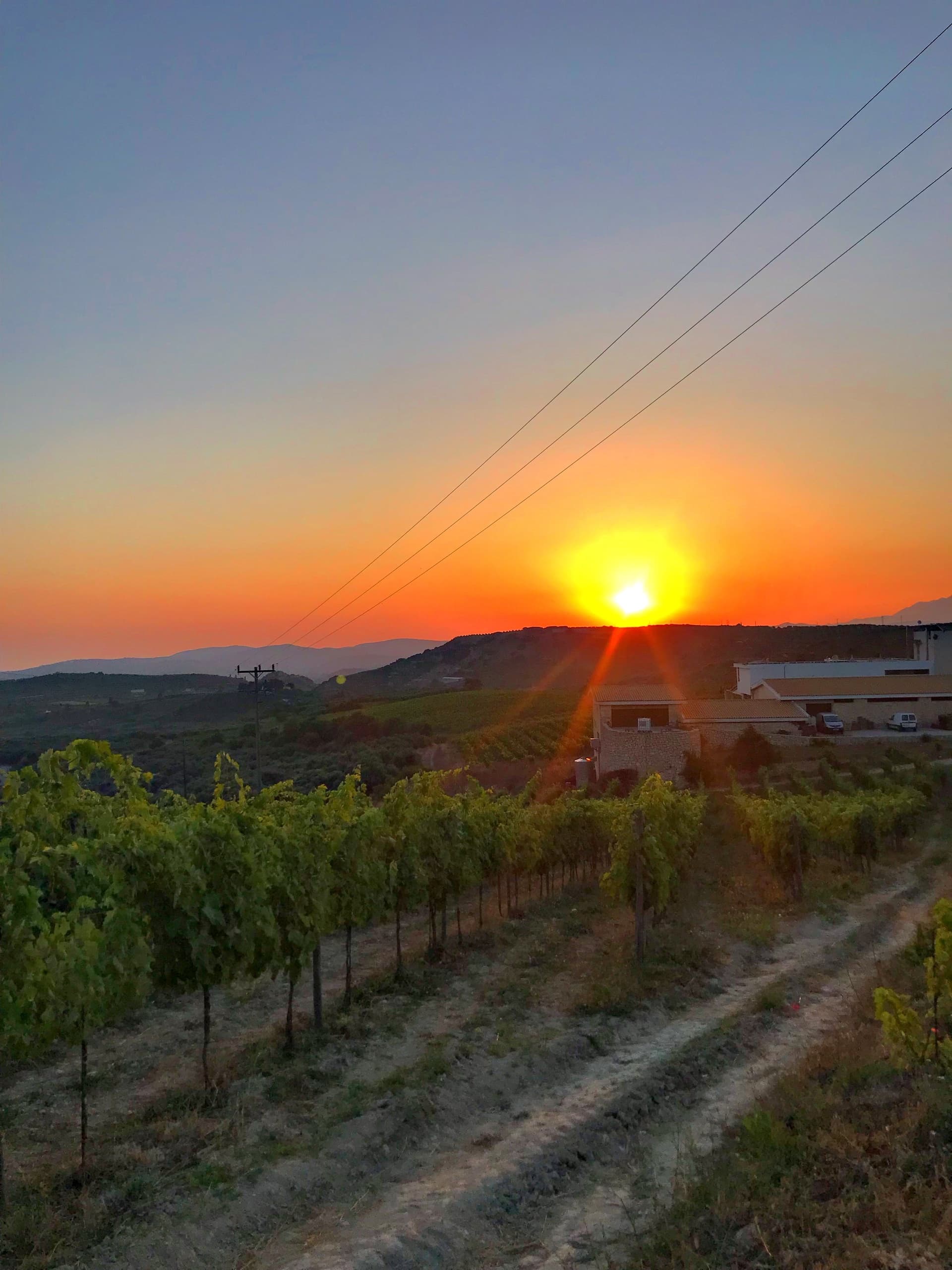 Sunset Wine Tasting at Domaine Paterianakis, Crete