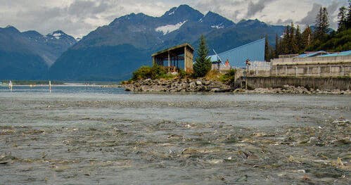 Valdez Fish Hatchery Electric Fat Bike Tour in Anchorage