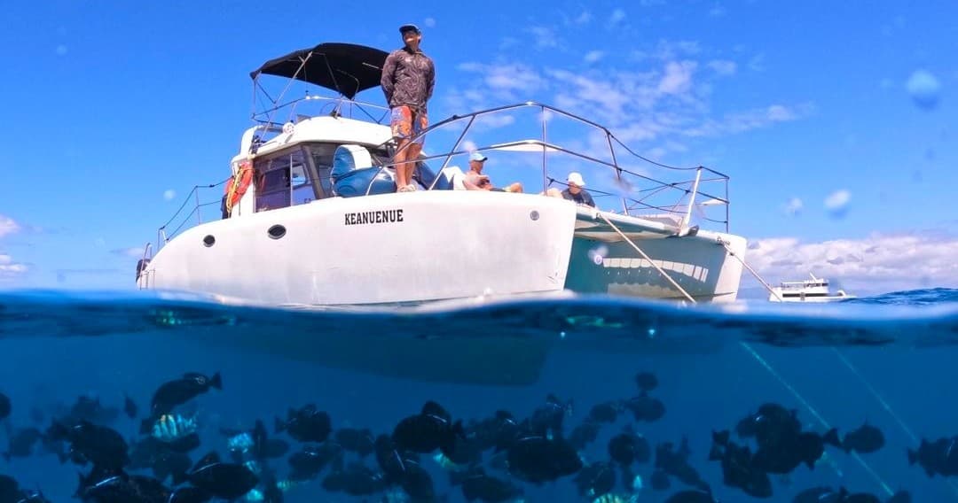Semi-Private Turtle Snorkel & Catamaran Cruise in Waikiki