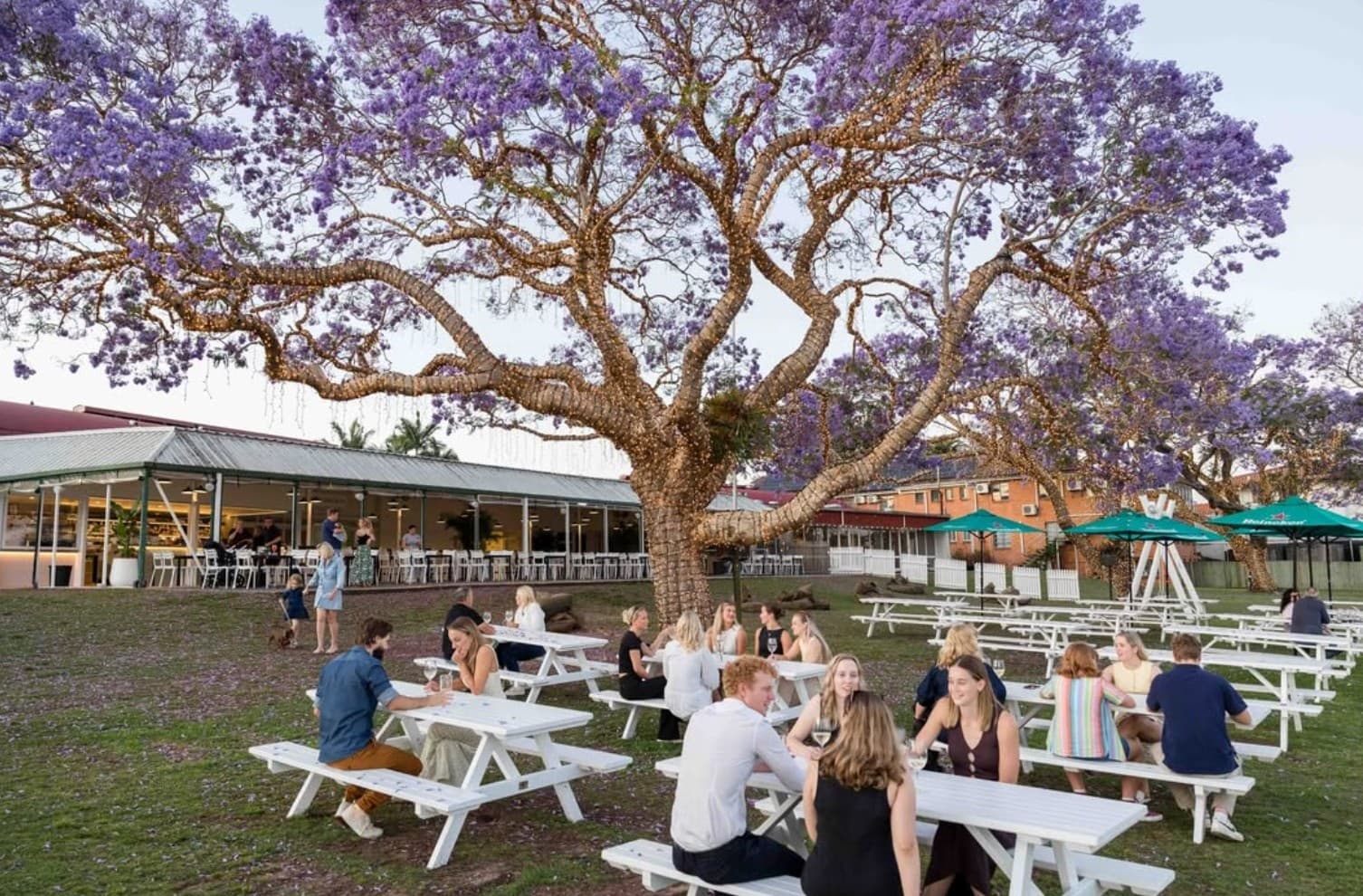 Flow Tour Brisbane: Story-Driven Walking Experience Through Brisbane’s River City photo 3