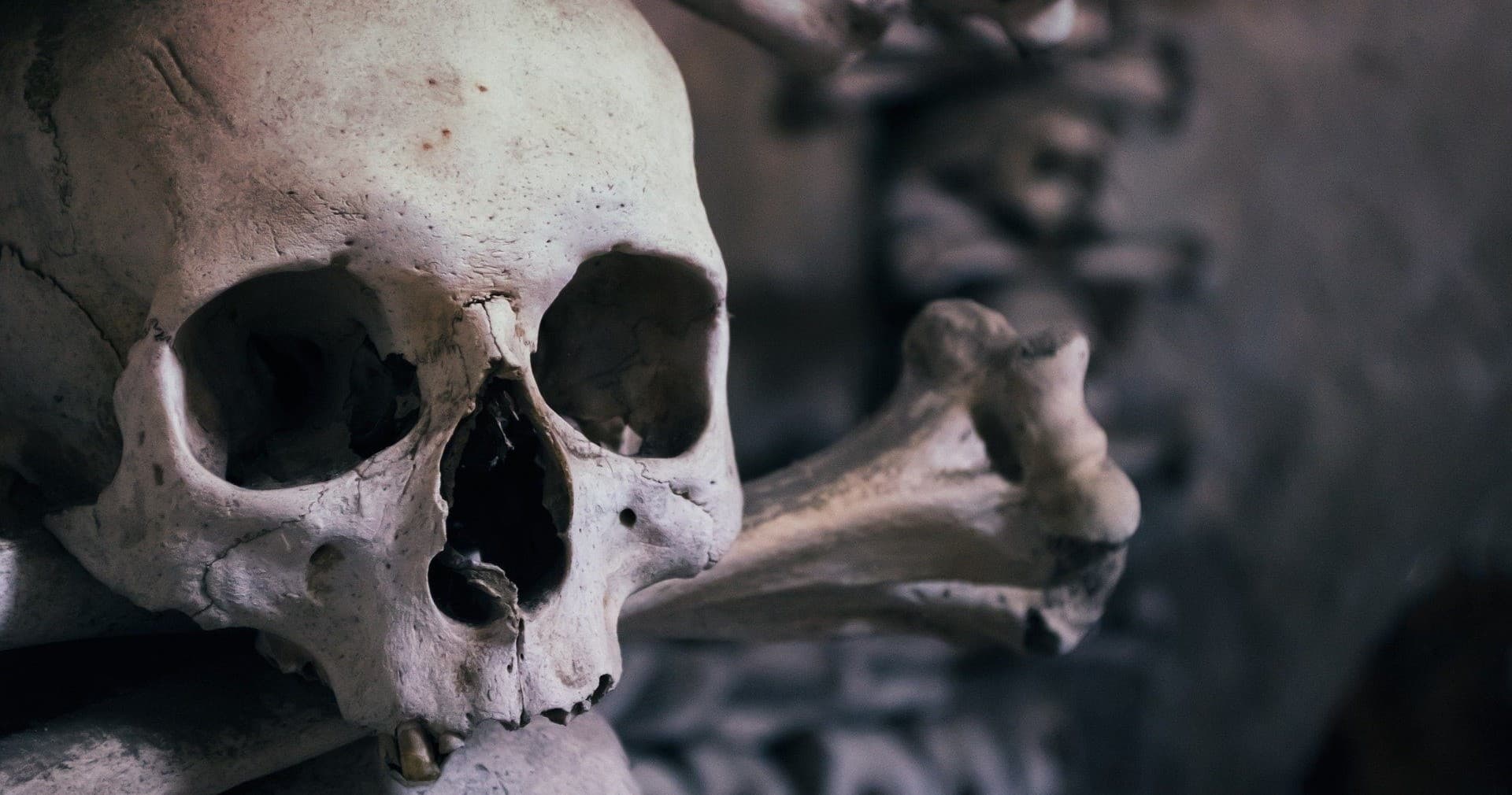 Historical & Gothic Tour of Kutná Hora with Prague Live Guide