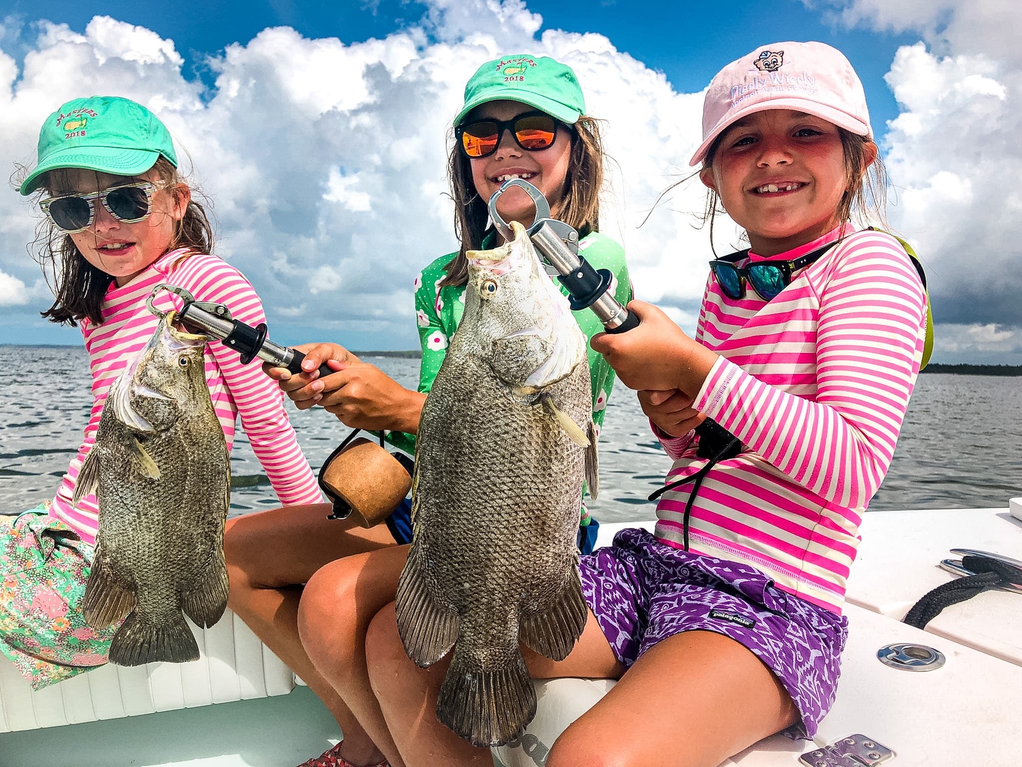 Island Waterway Adventure with Southern Salinity in Apalachicola
