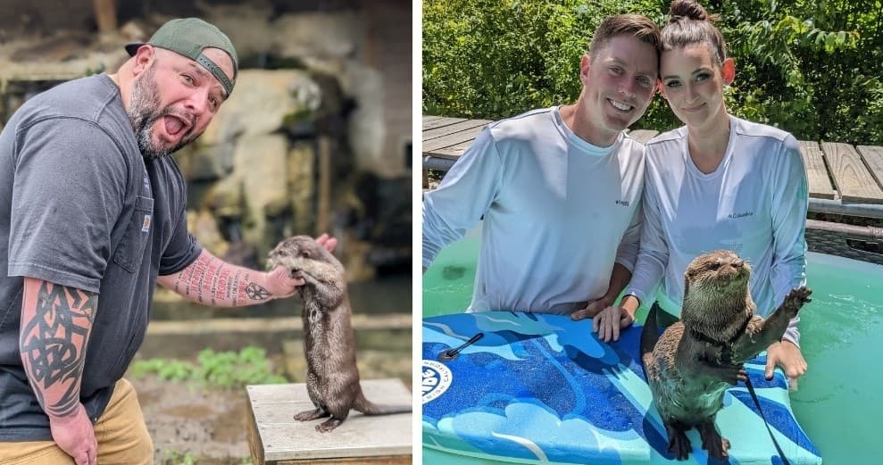 Ultimate Otter Splash Adventure in Cleveland, Georgia