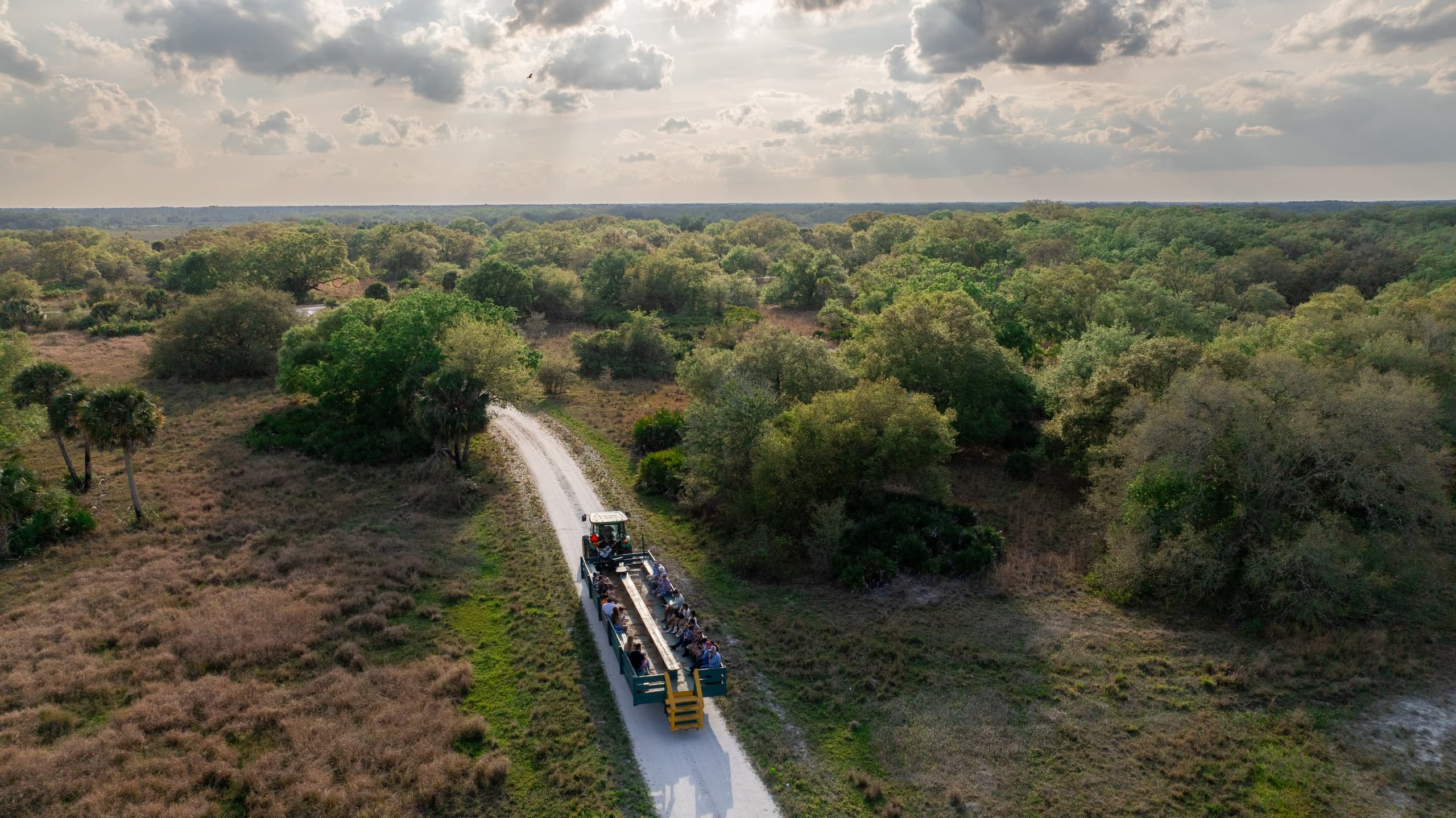 Family Cowboy Dinner & Hayride at River Ranch, Florida