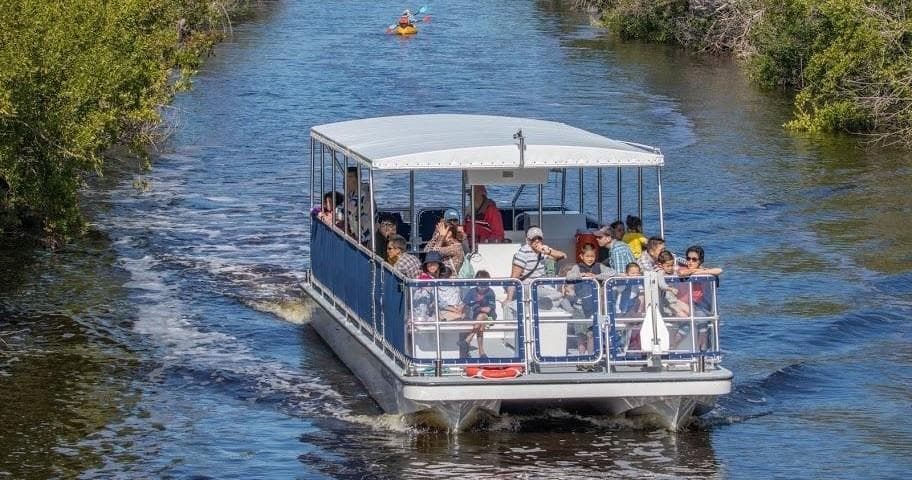 Backcountry Boat Tour | Boat Tour in Homestead, Florida