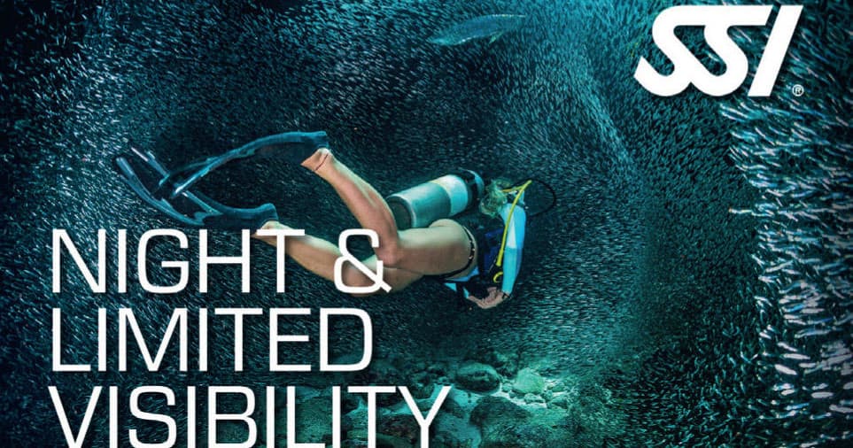 Night Diving with Scuba Sur: Discover Dark Waters
