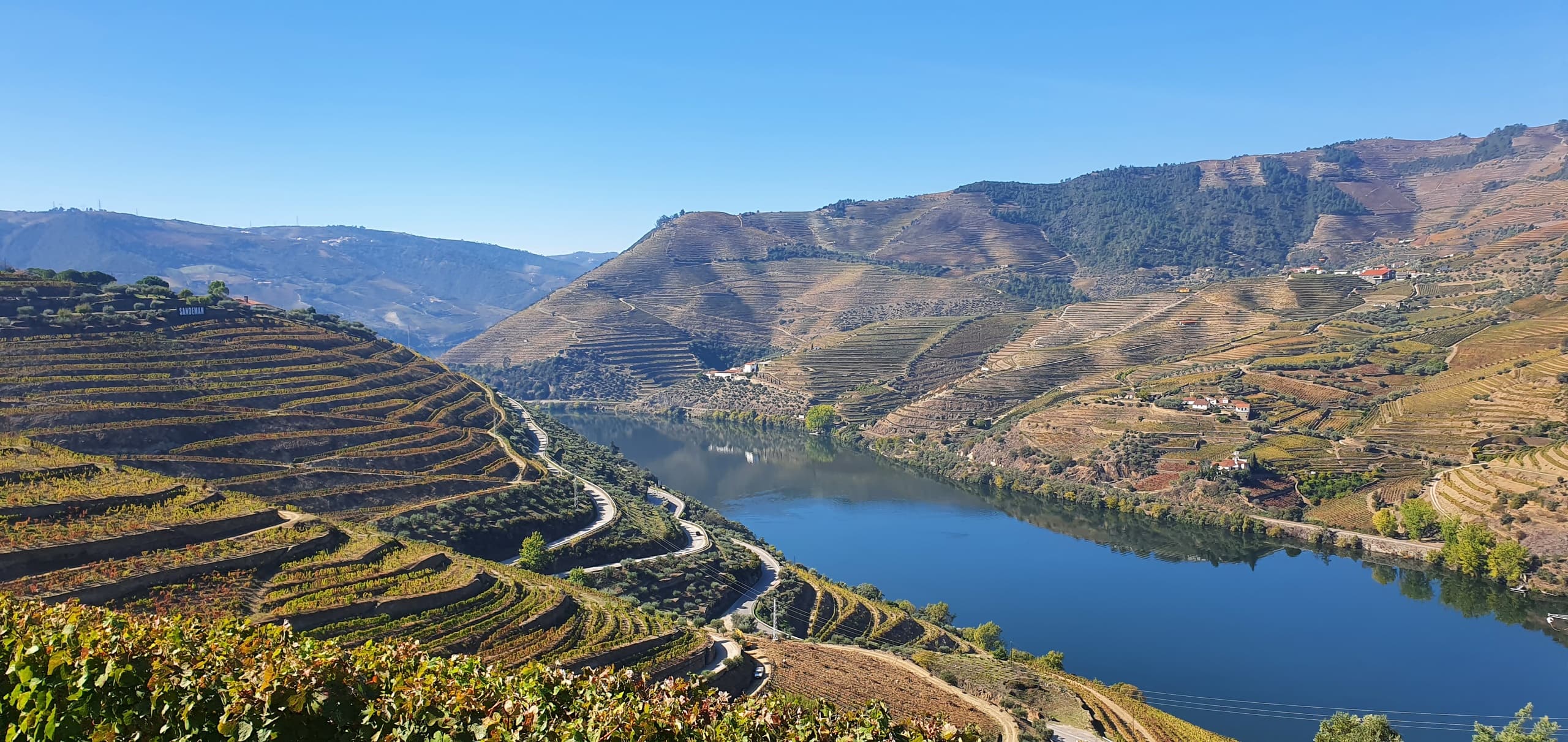 Douro Valley Train & Wine Tour with Scenic Boat Ride