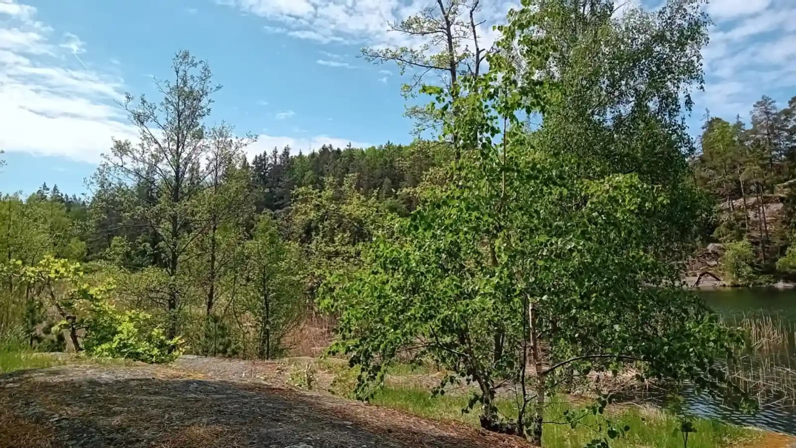 Hiking Adventure in Tyresta National Park near Stockholm