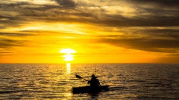 Kayak Adventure at Sarasota Bay with Ultimate Kayak SRQ