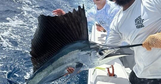 Anglers fighting a sailfish on a deep-sea fishing charter