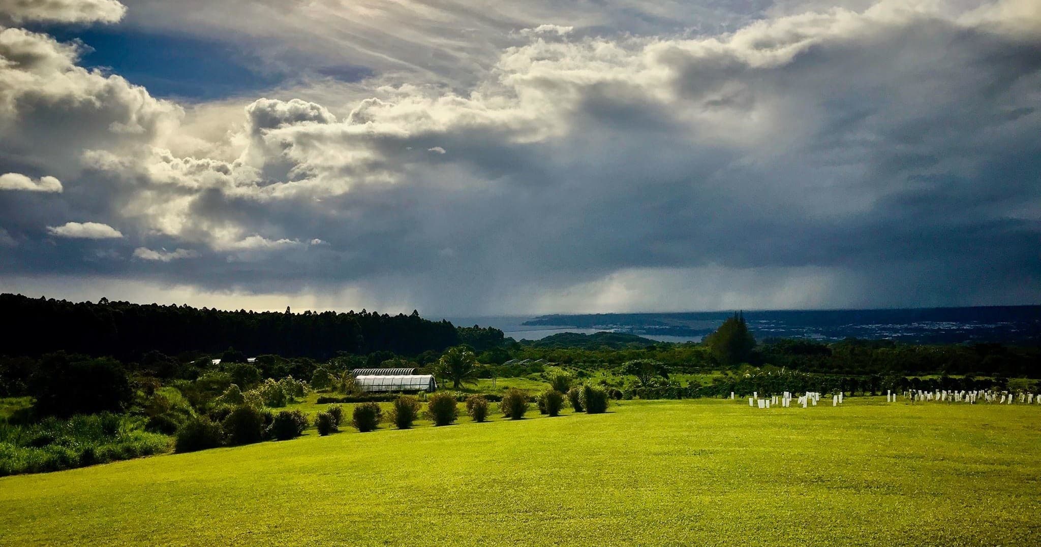 Dramatic green hillside under stormy sky, scenic farmland vista