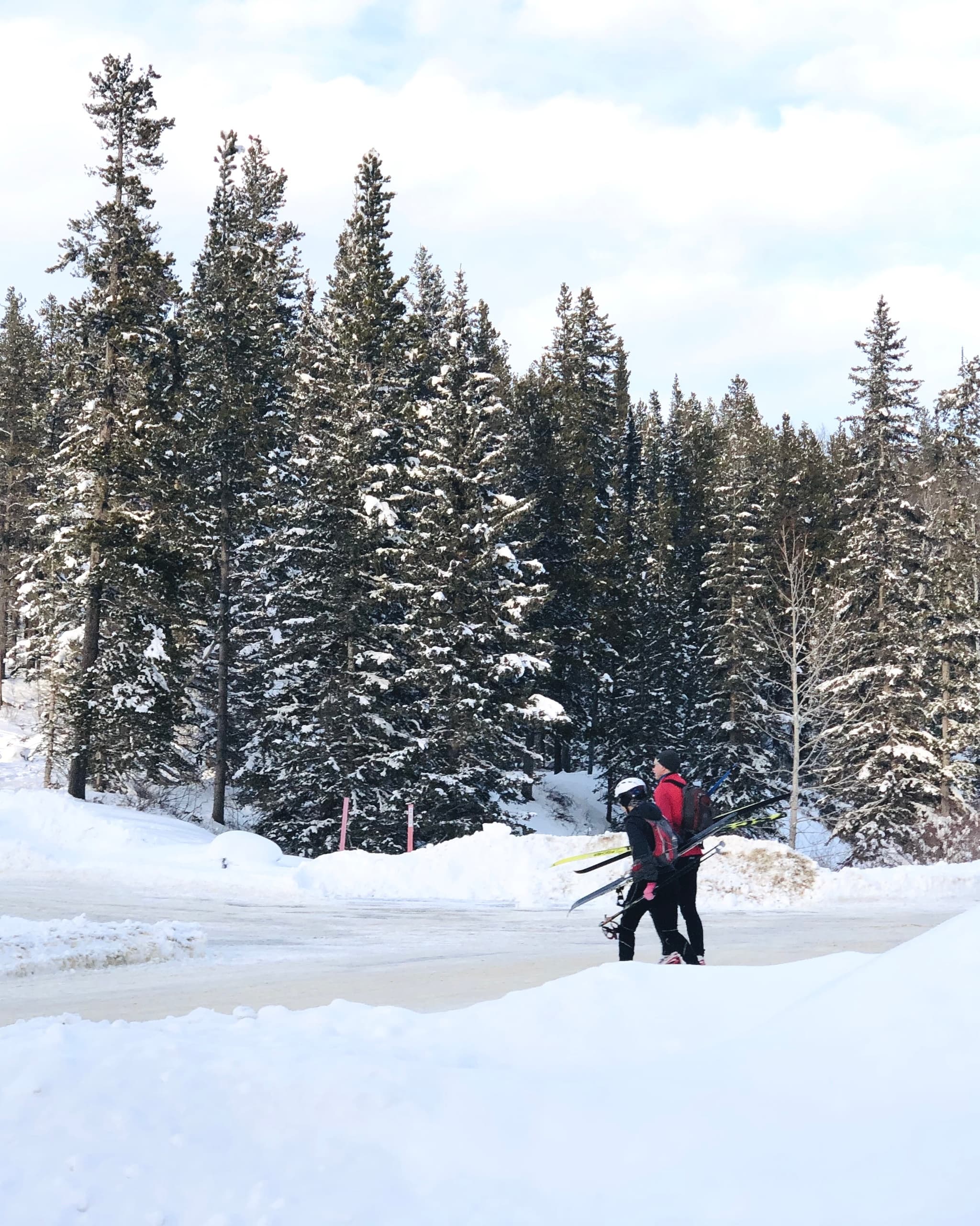 Sunshine Village Snowshoeing: Gentle Winter Meadow Walks Near Calgary photo 3