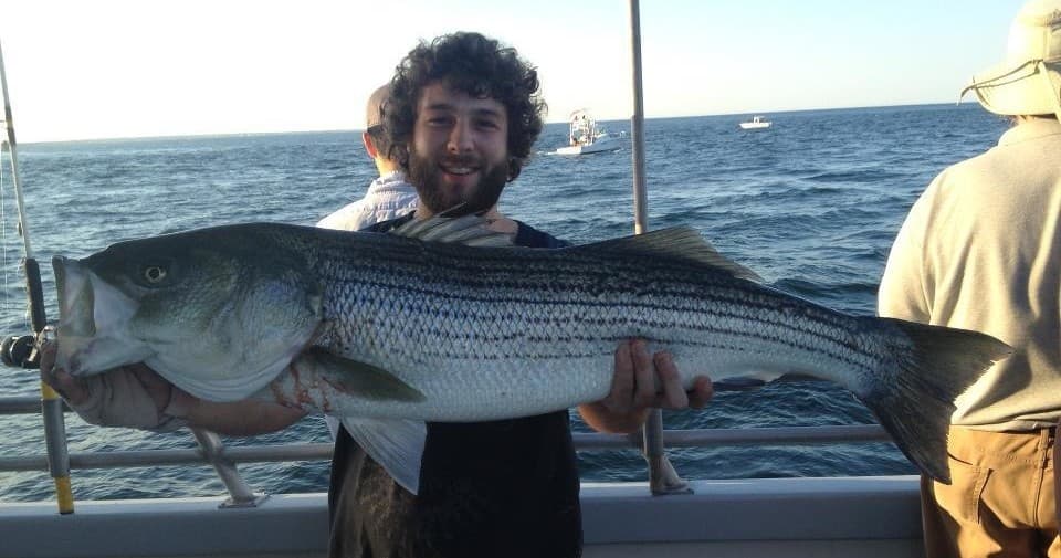 Angler holding large striped bass aboard offshore fishing charter
