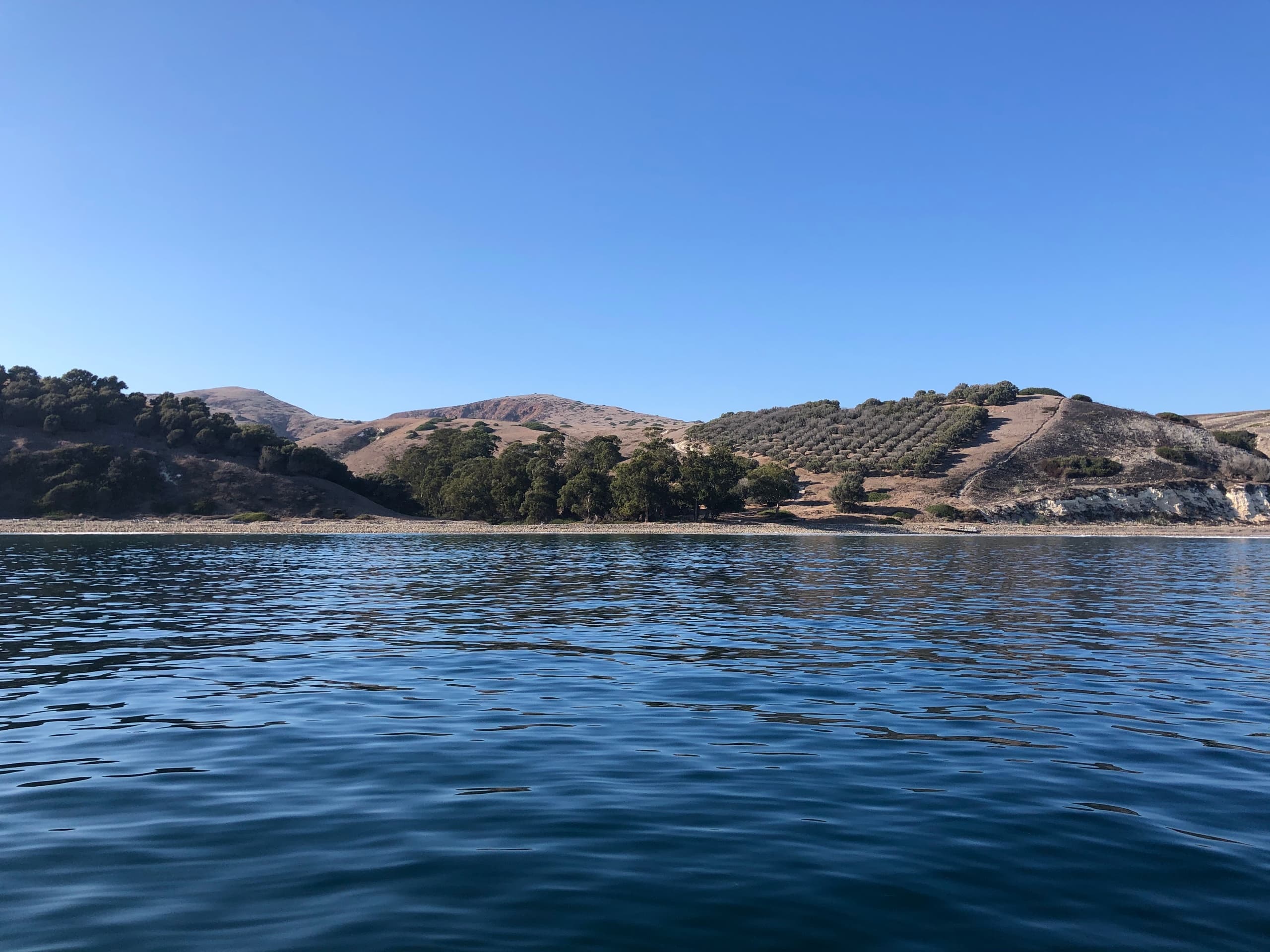 Channel Islands Flotilla Adventure from Marina del Rey
