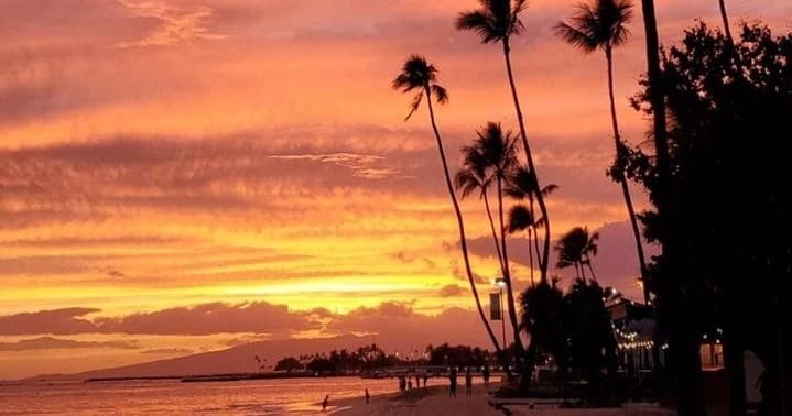 Outdoor Adventures with YohoGo! on Oahu's Grand Island Tour