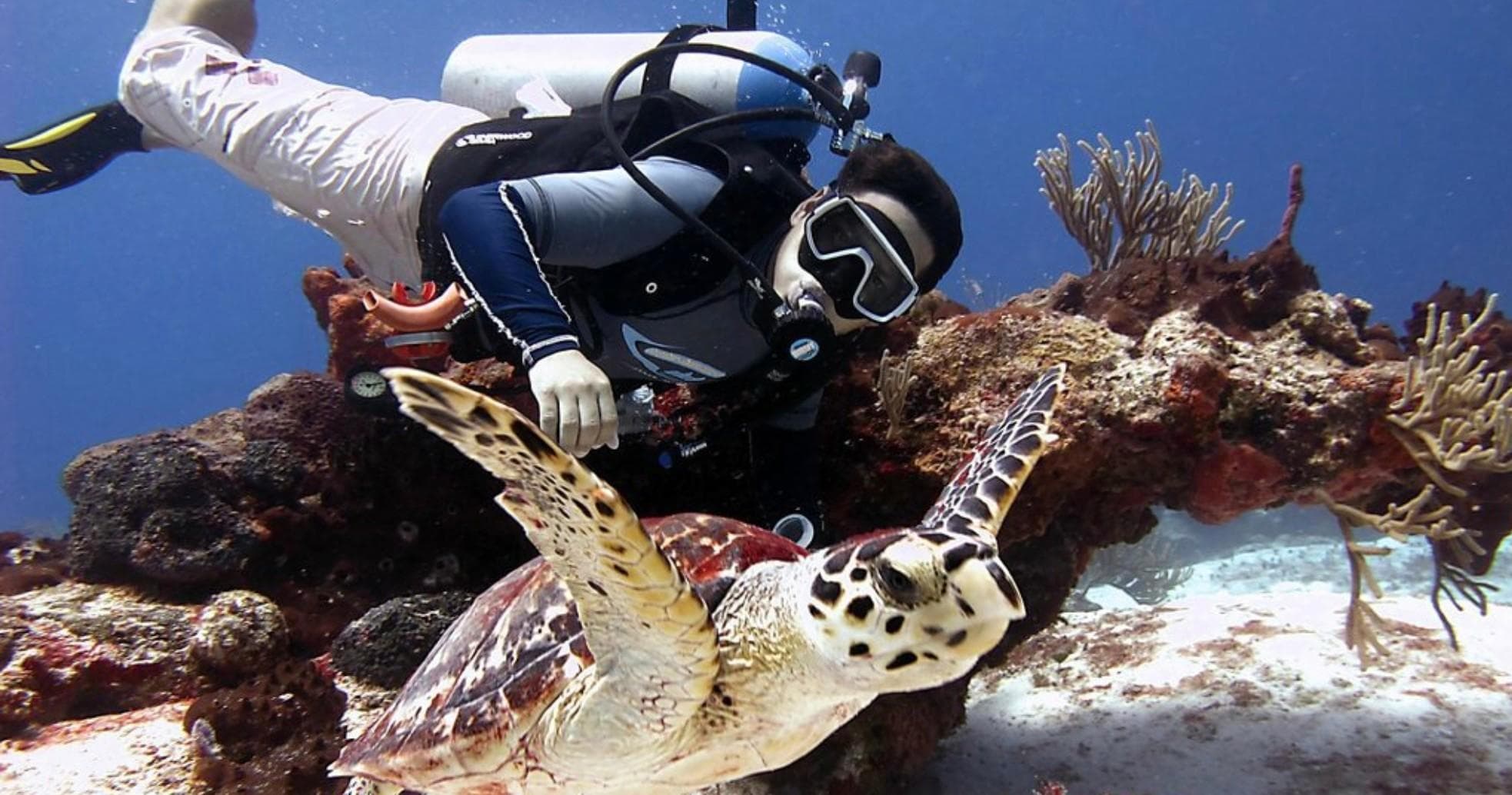 Water Activities & Always Diving & Water Sports: Divemaster Certification in Key West