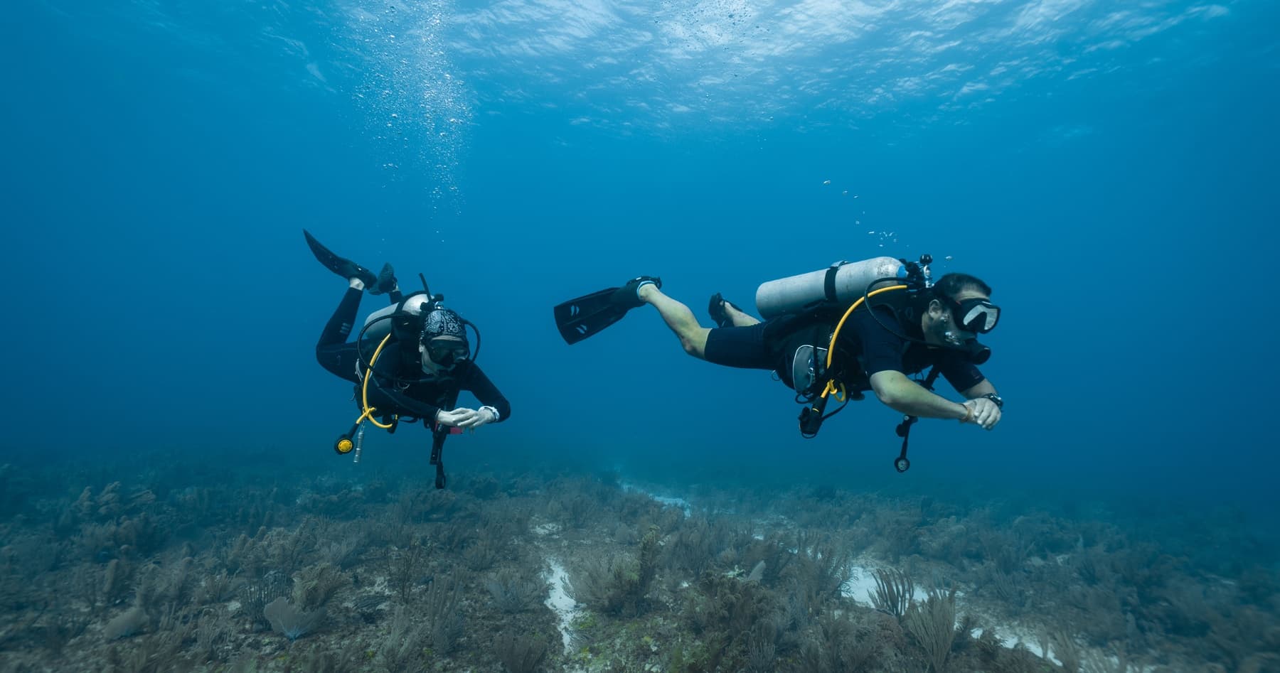 Learn to Dive in Playa del Carmen: Open Water Diver Course with Dive Mike
