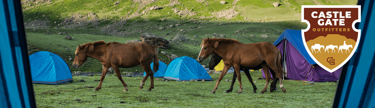 Horseback Pack Trip into the High Uintas: 4-Day Backcountry Camping Near Kamas, Utah