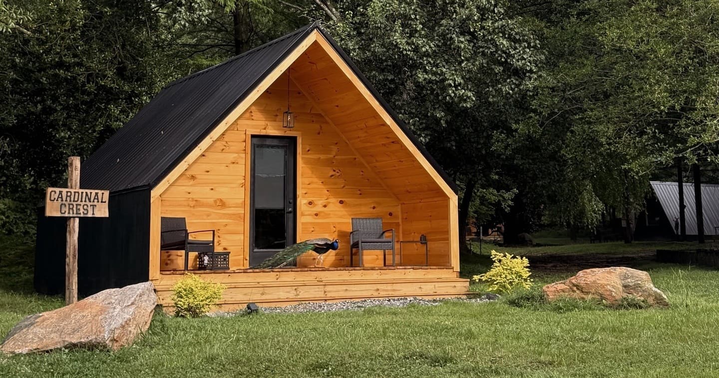 Private Animal Encounters at Nature Nook Retreats in Wellford, SC